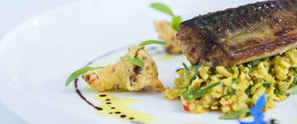 Fish & Seafood Plus