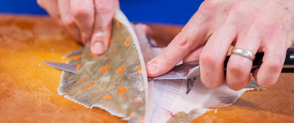 Fish & Seafood
